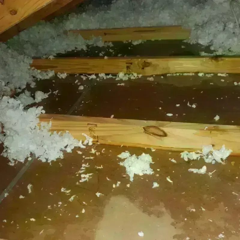 Attic Water Damage in Sparta, MO