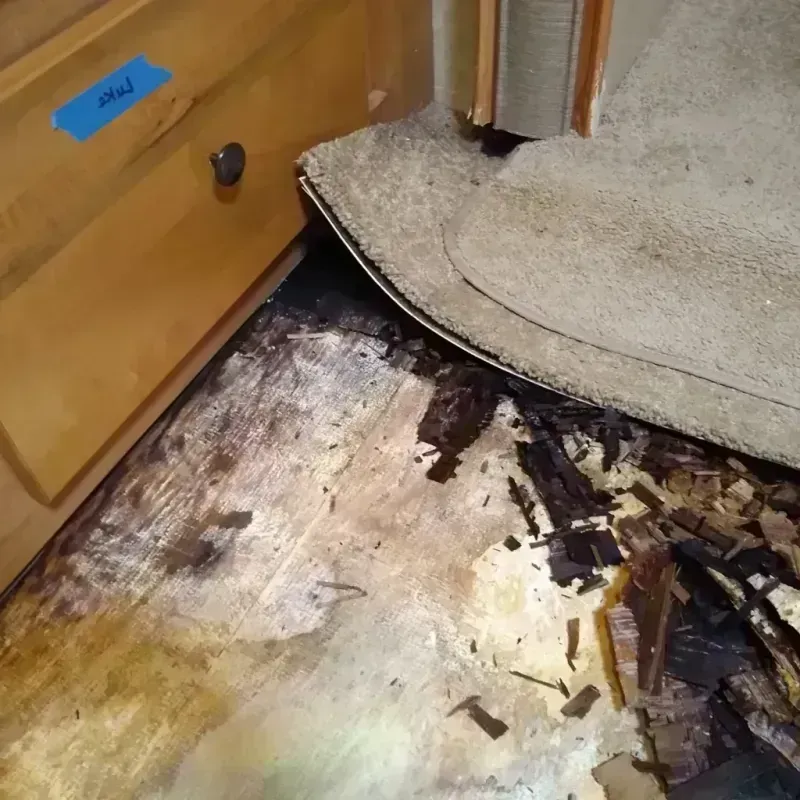 Wood Floor Water Damage in Sparta, MO